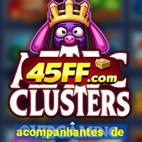 acompanhantes de paulo afonso